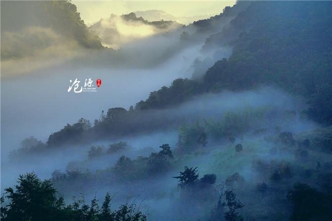 植物大战僵尸11
