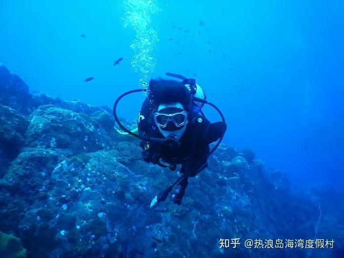 逃出重围第一章