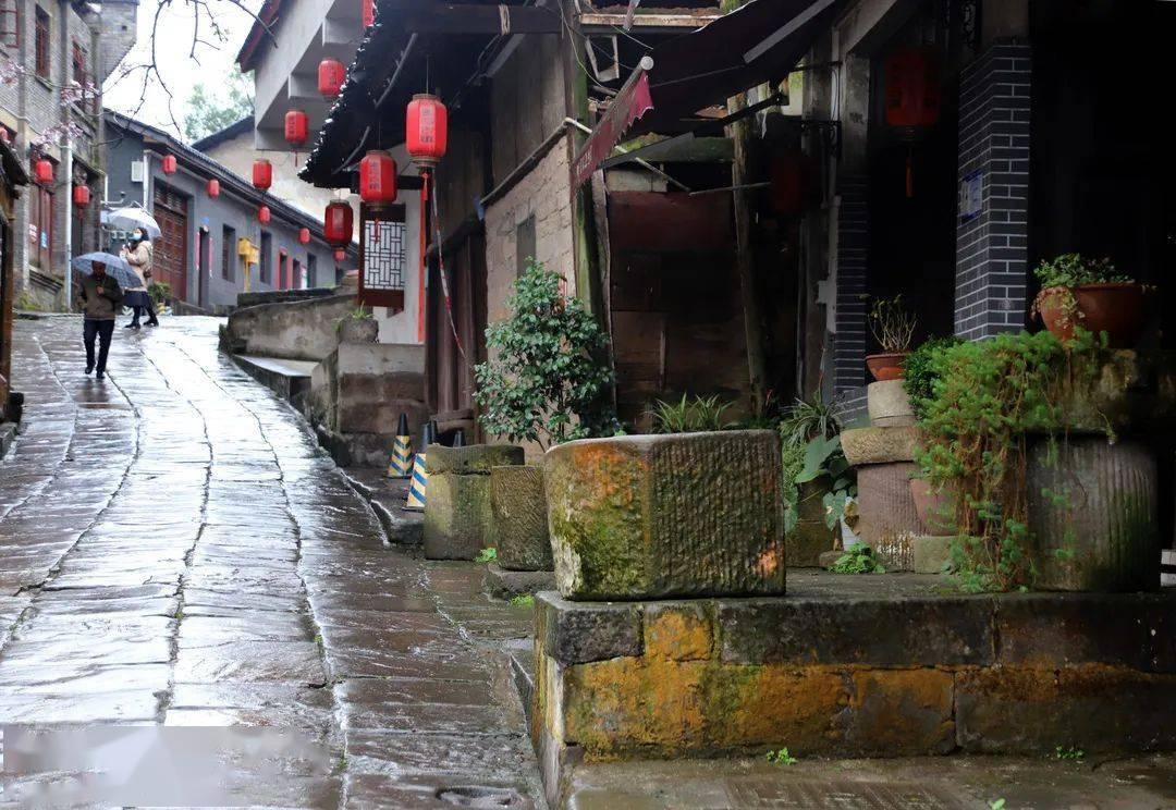 春雨直播app